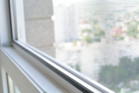 istockphoto-1155501143-612x612.jpg