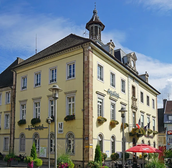 Photographie aérienne ou carte stylisée montrant la région de Belfort avec les zones d'intervention mises en évidence (Territoires de Belfort, Doubs, Haute-Saône) et les principales villes servies (Danjoutin, Héricourt, Montbéliard, Delle, Valdoie) avec un rayon de couverture de 40 km clairement visible. Style professionnel, moderne, épuré. Pas de texte ou de logo visible.