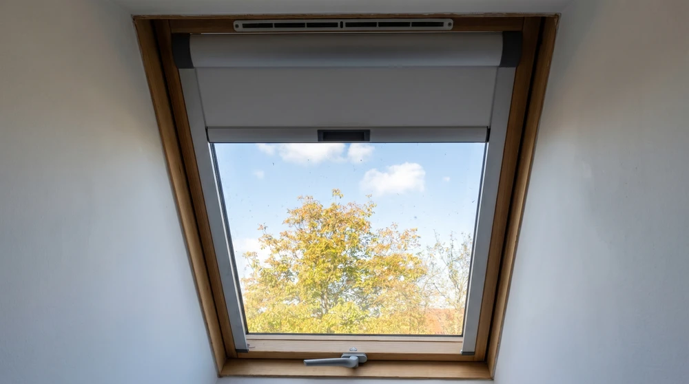 Véranda intérieure avec structure en bois lamellé-collé, toiture à deux pans avec faîtage apparent, lambris blanc en sous-face